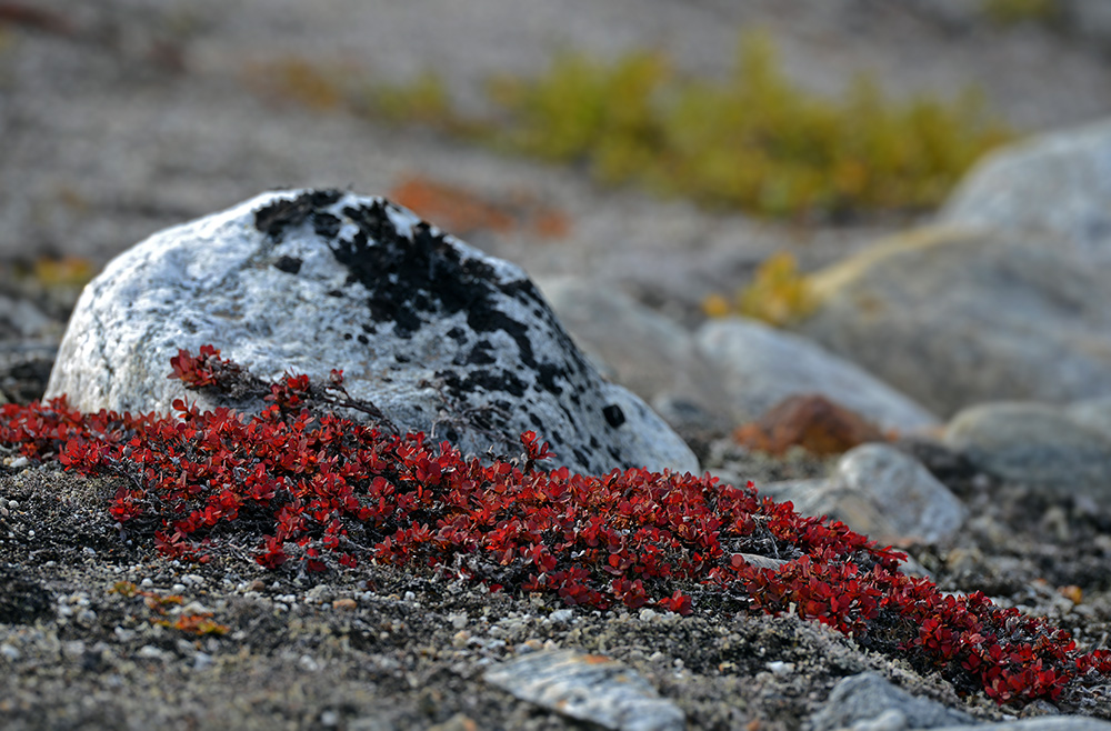 On Ground