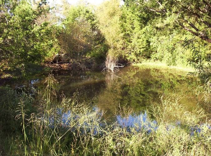 On Hall Pond