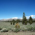 On Highway 395 near June Lake