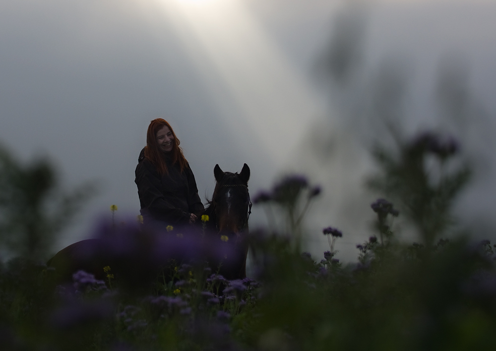 On Horseback