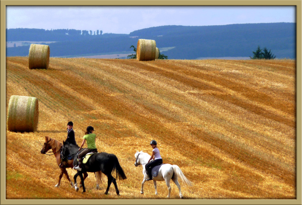 on horseback