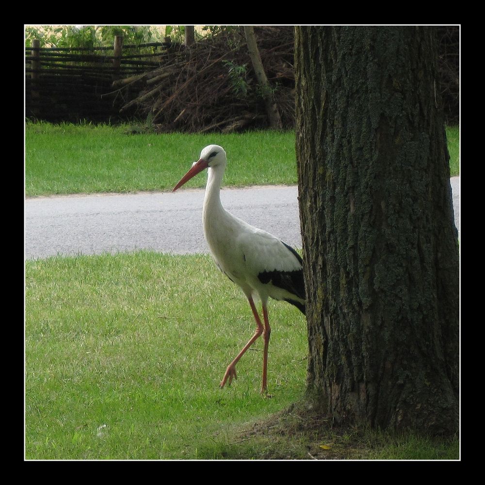 On joue à cache-cache ?