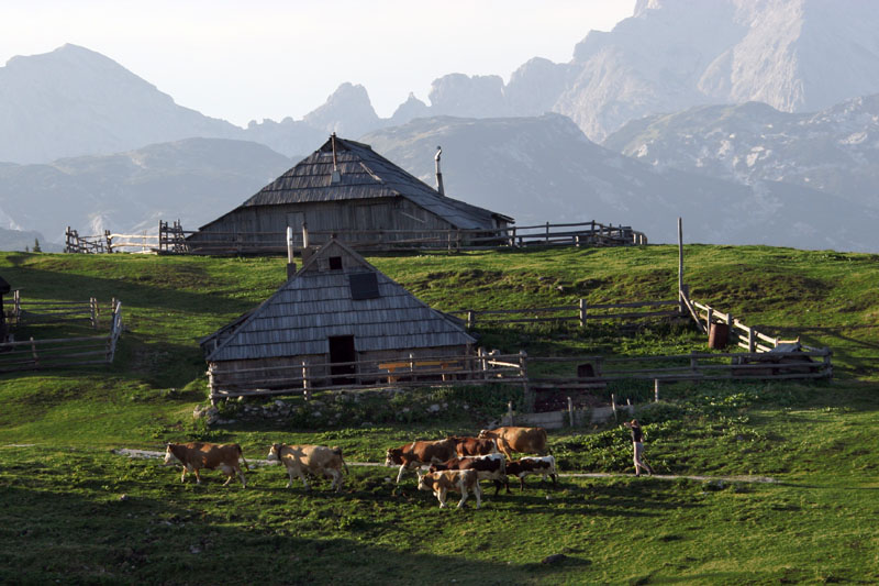 On mountain - Slovenia