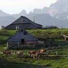 On mountain - Slovenia