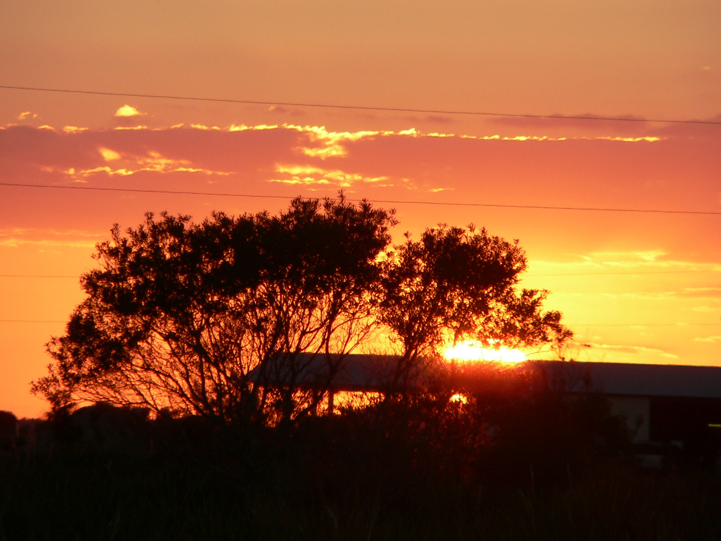 On my ranch in Punta Gorda, Florida