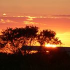 On my ranch in Punta Gorda, Florida