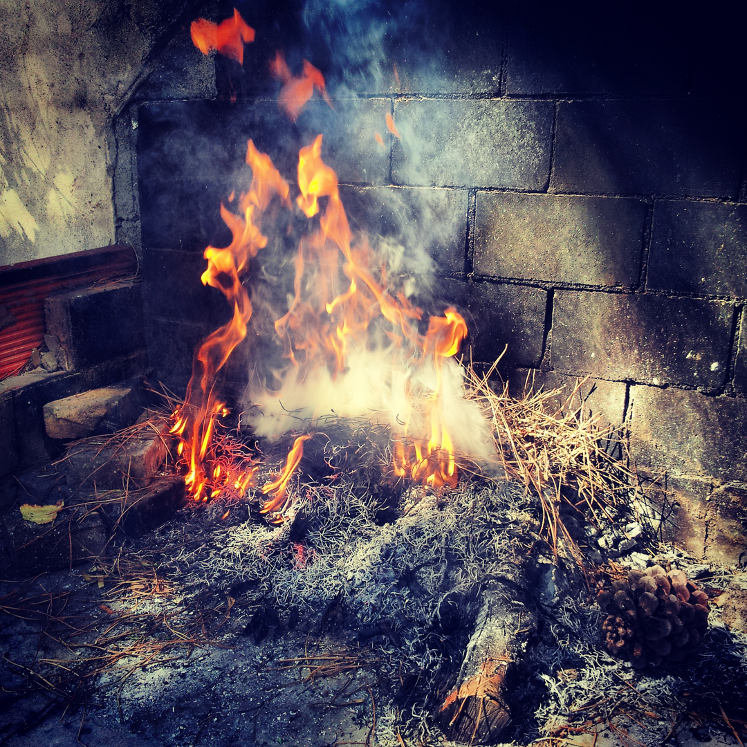 On ne joue pas avec le Feu , on le prend en photo .