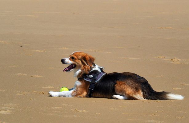 On ne touche pas à ma balle… !