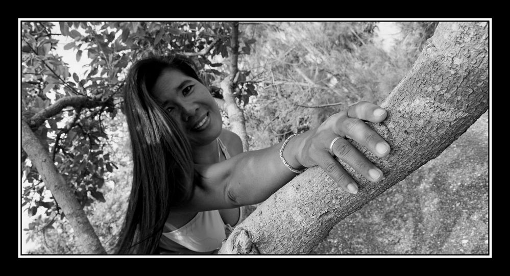 On on Tree Silver Beach Black and White