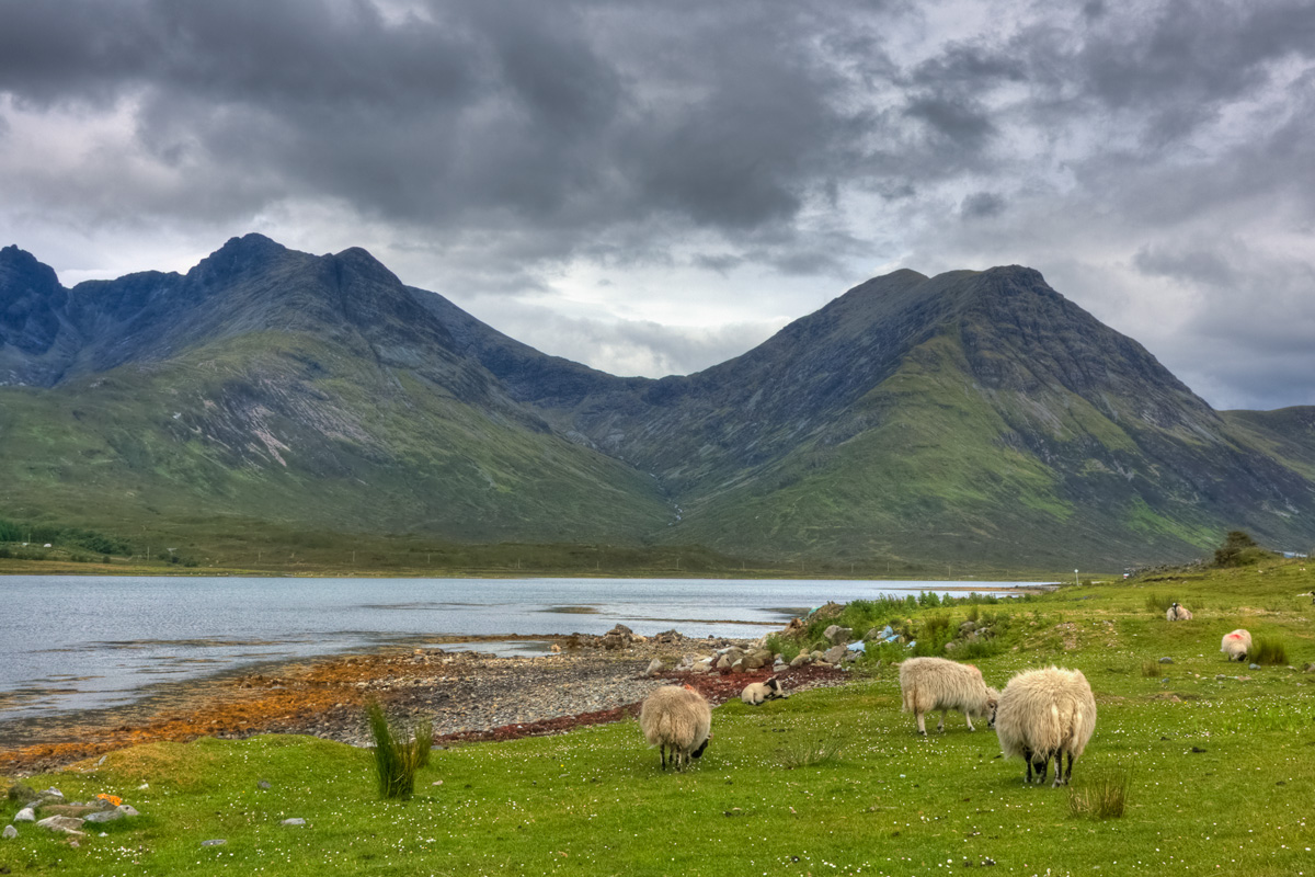 On our way to Elgol