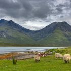 On our way to Elgol