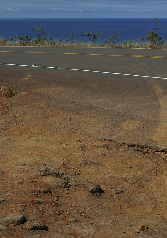 On our way to Waimea Canyon (Kauai)