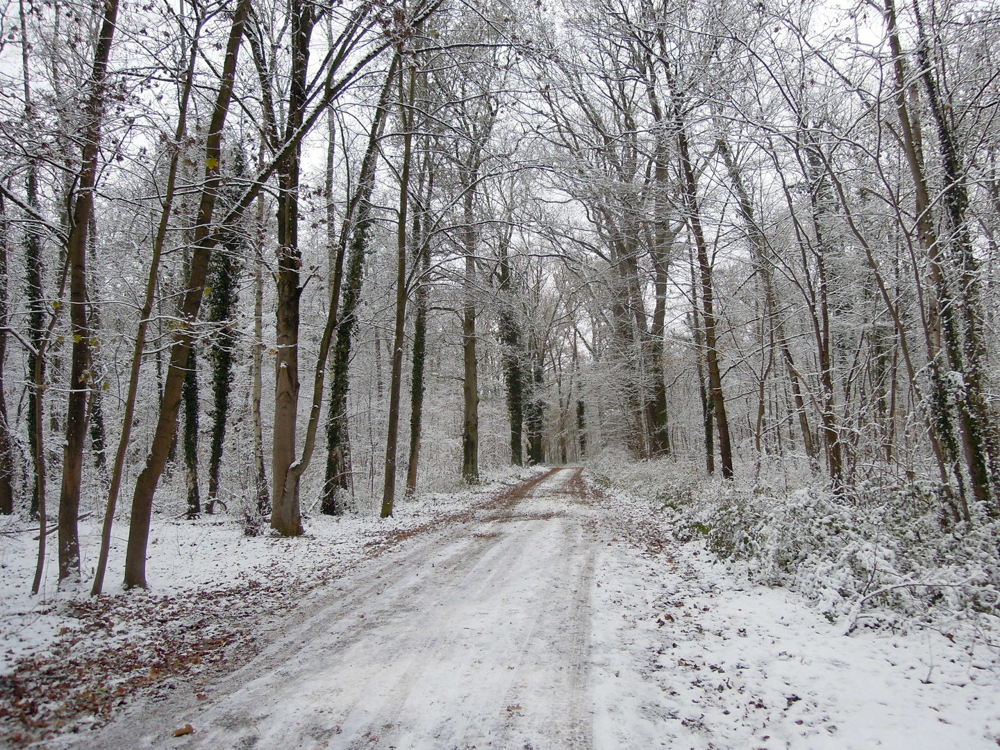 On Our Way to Winter Wonderland