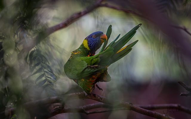 "... on Paradise Island ..."