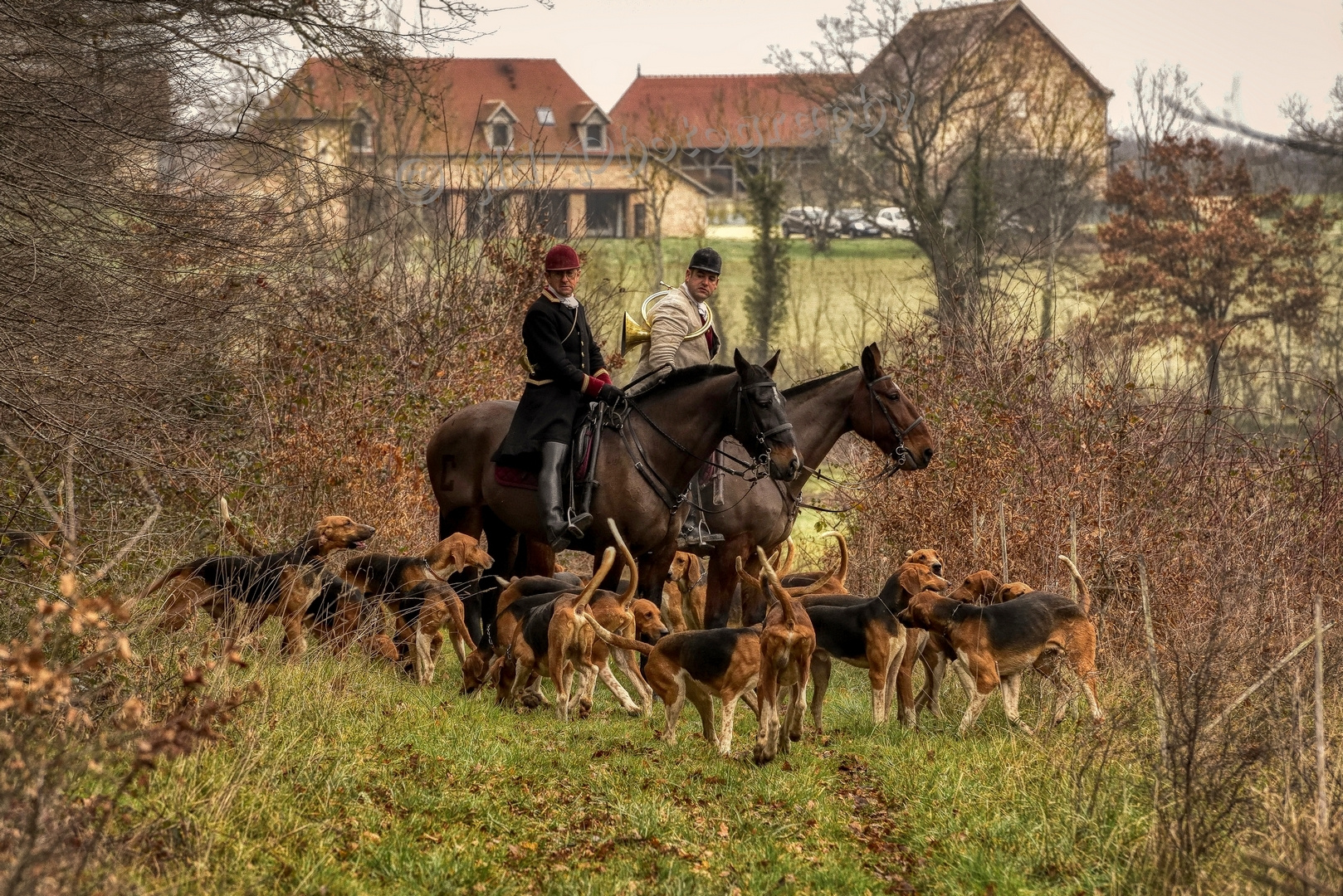 On récupère les chiens 