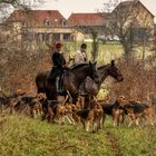 On récupère les chiens 