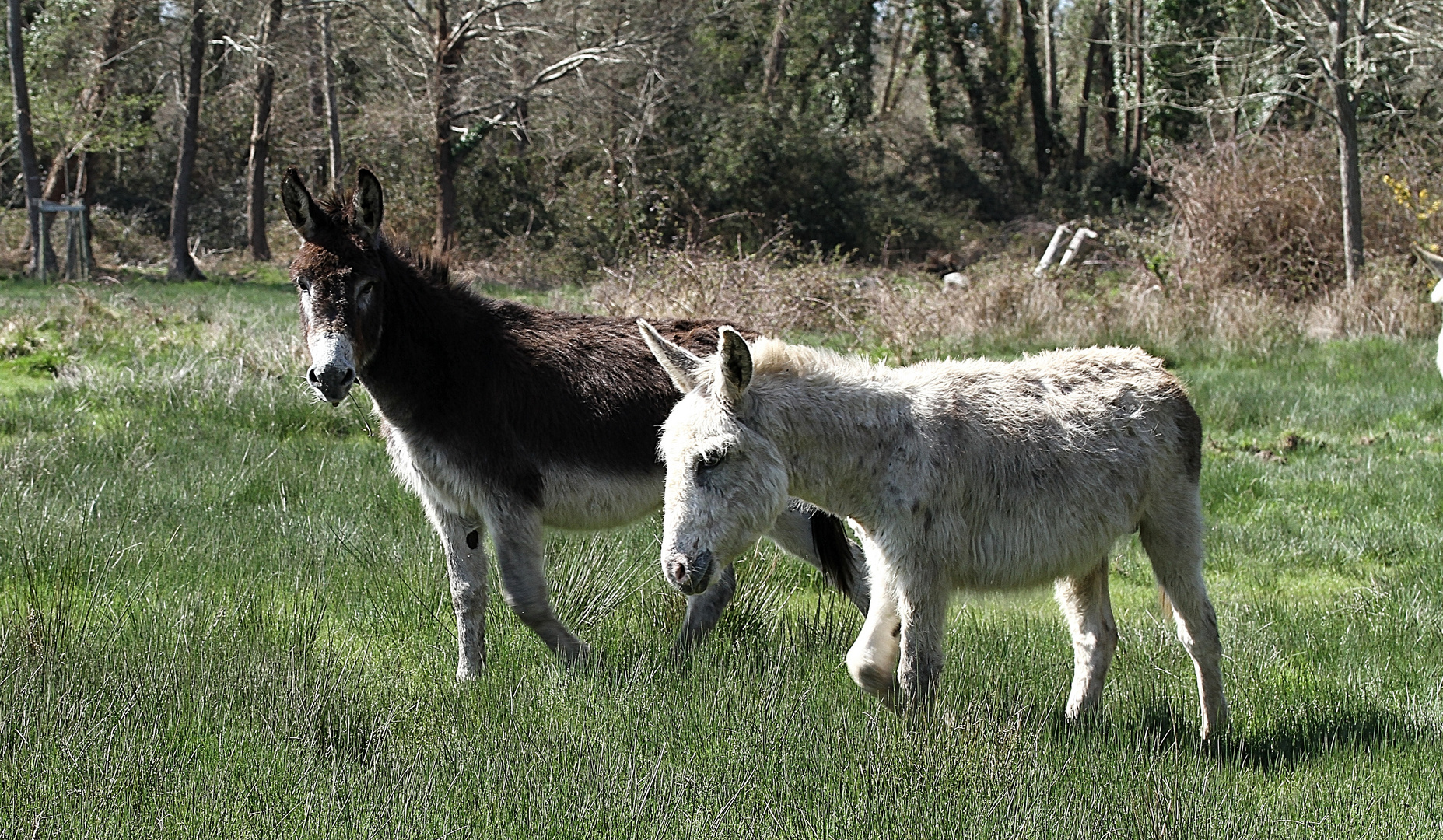 On rentre de balade !