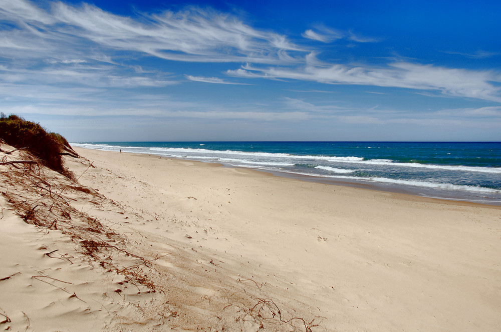 ON THE 90 MILE BEACH