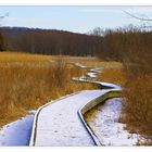 On the Appalachian Trail