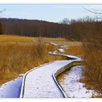 On the Appalachian Trail