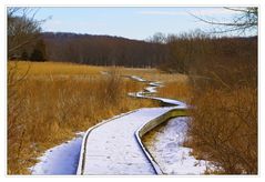 On the Appalachian Trail