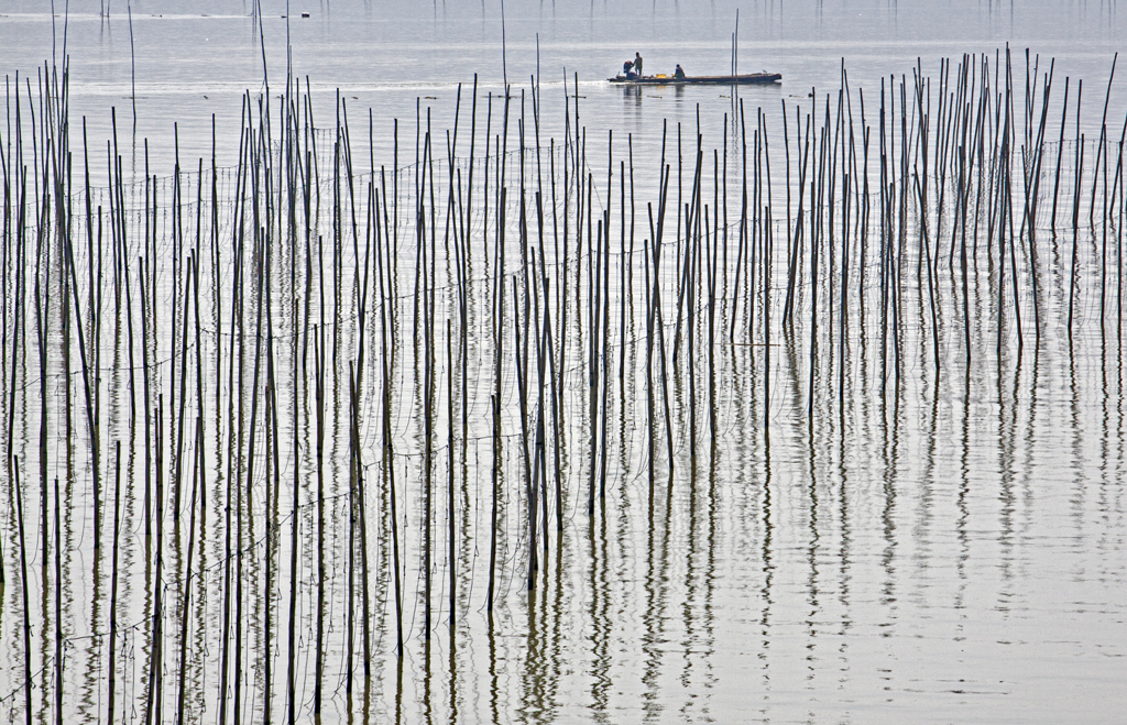 On the Aquatic Farm