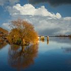 On the banks of the Lek River (NL)