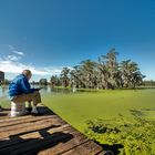 On the Bayou 3