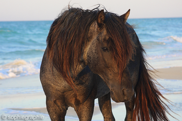 On the beach...