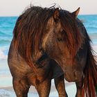 On the beach...