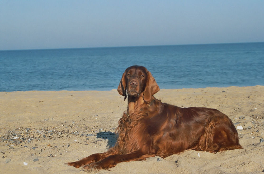 On the beach