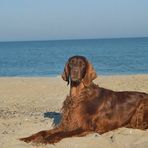 On the beach