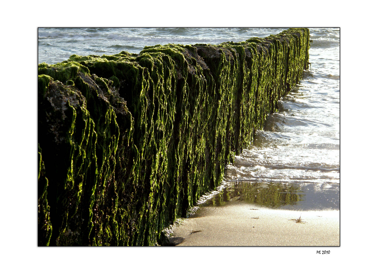 on the beach #1