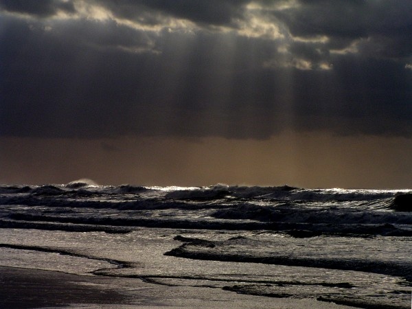 on the beach