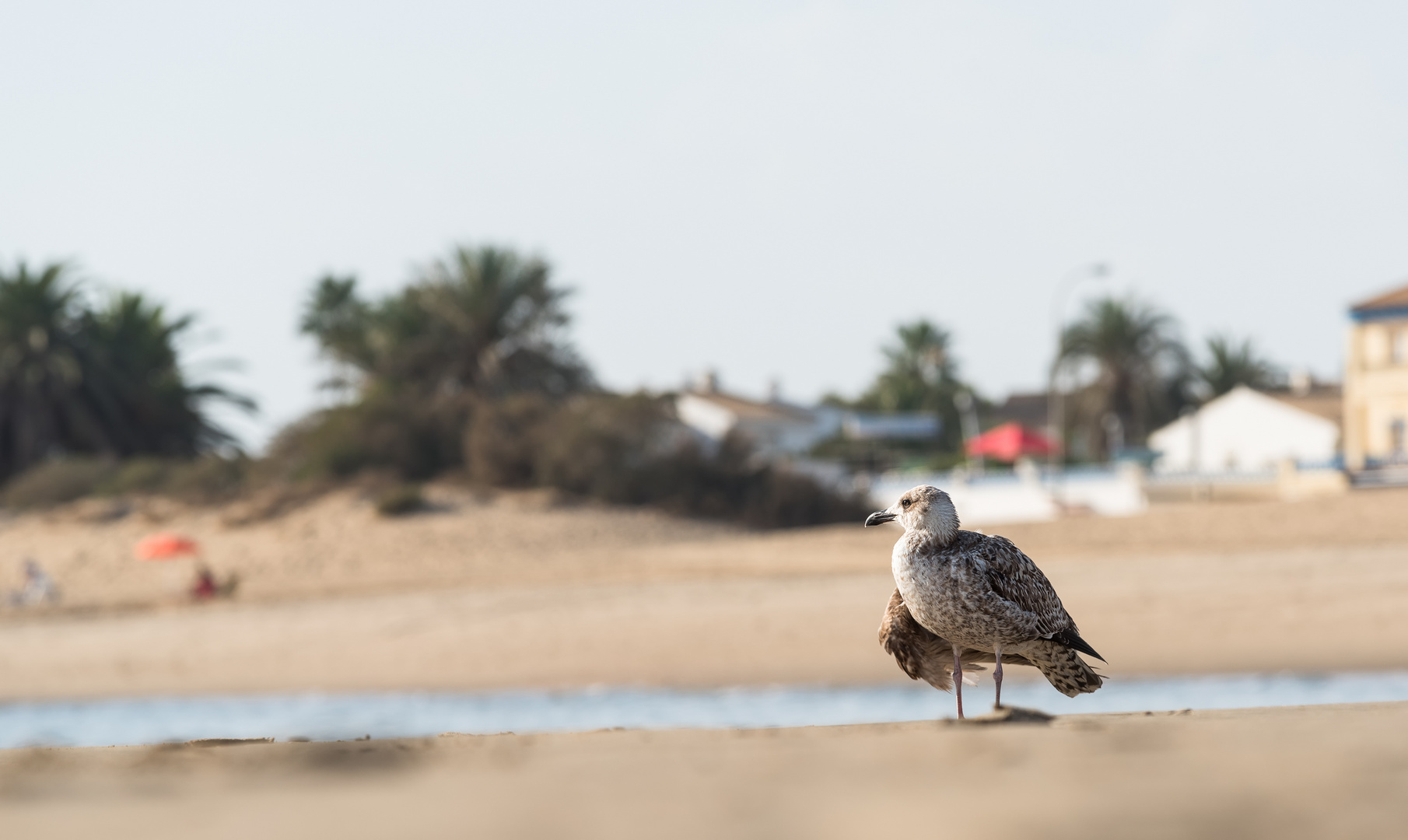 __on the beach__