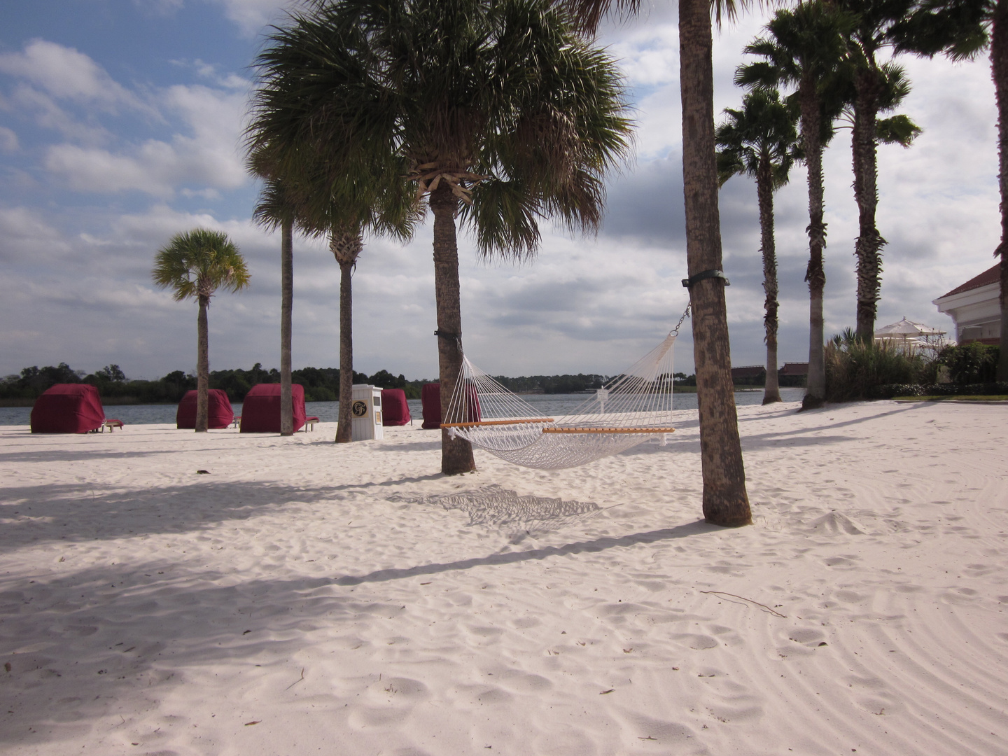 On the Beach