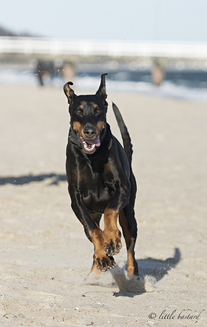 on the beach