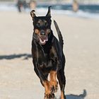 on the beach