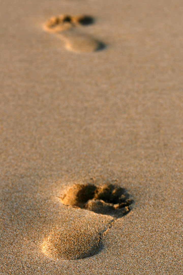 On the beach