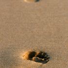 On the beach