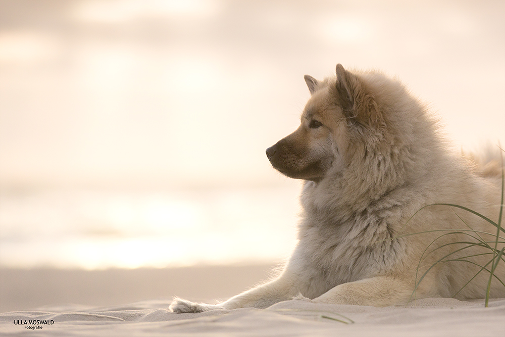 ...on the beach...