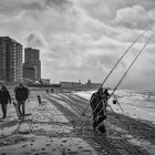 on the beach