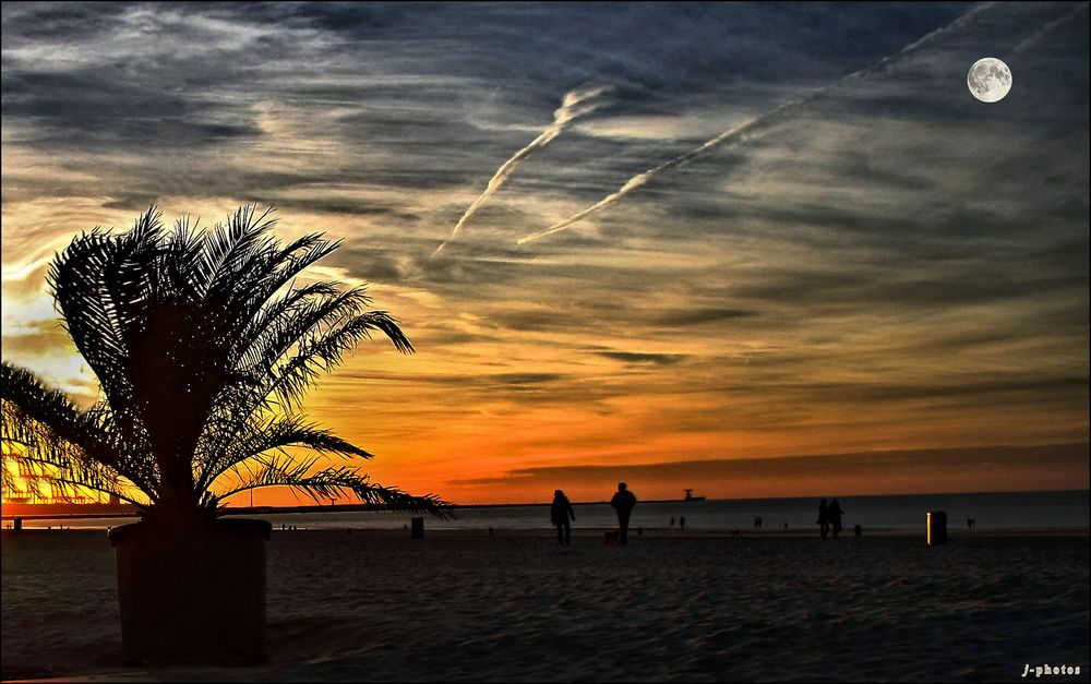 - On The Beach - 