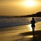 on the beach