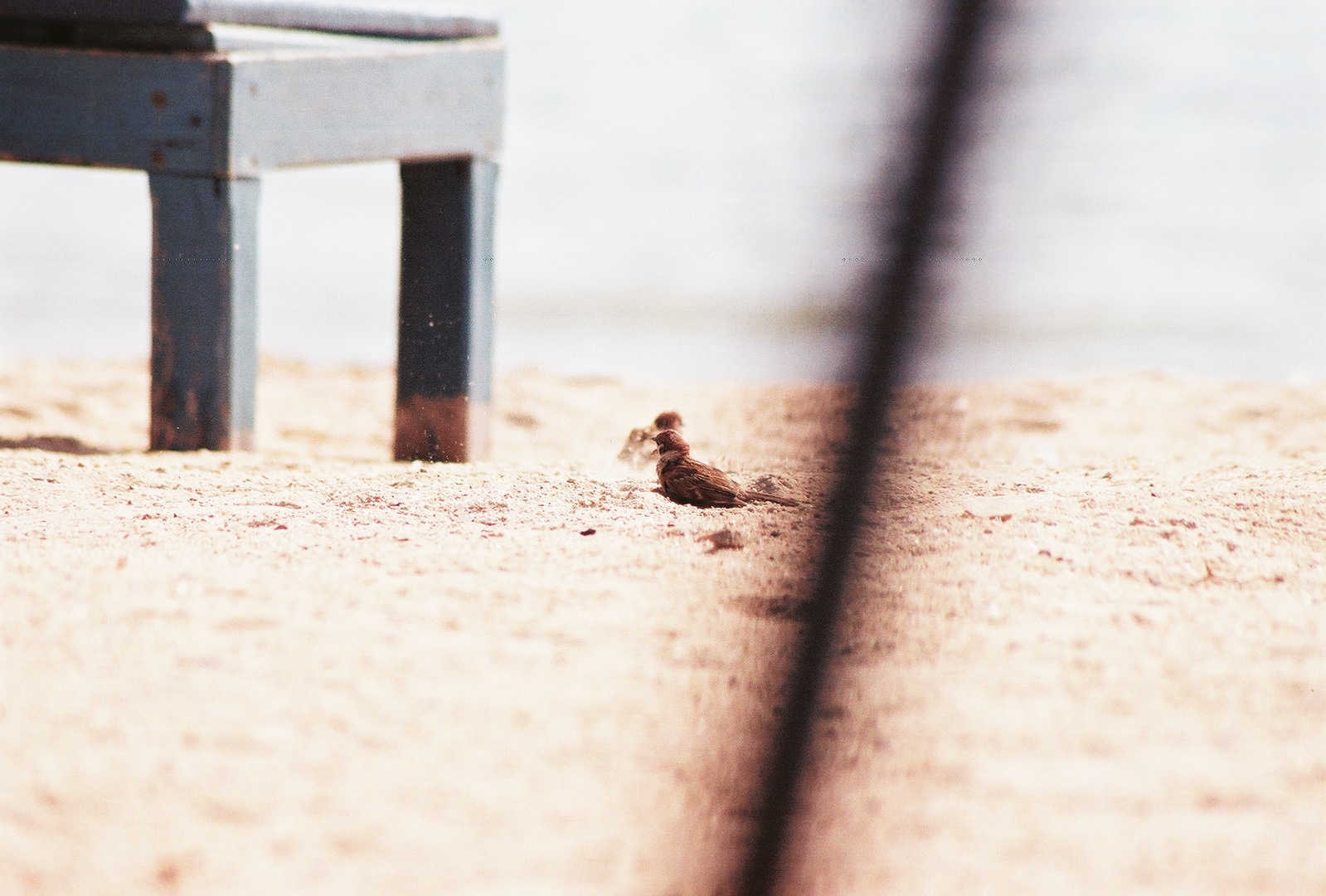 On the beach