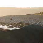 On the Beach