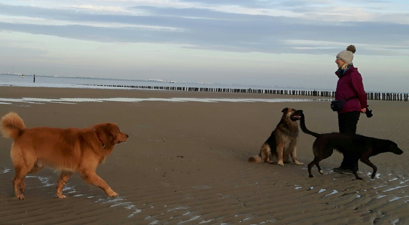 On the beach ...