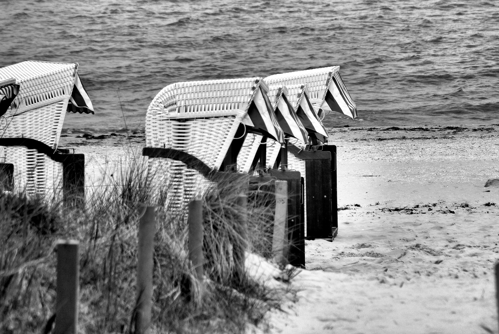 on the beach