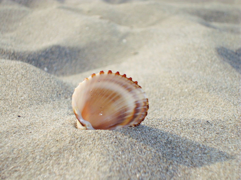 On the beach