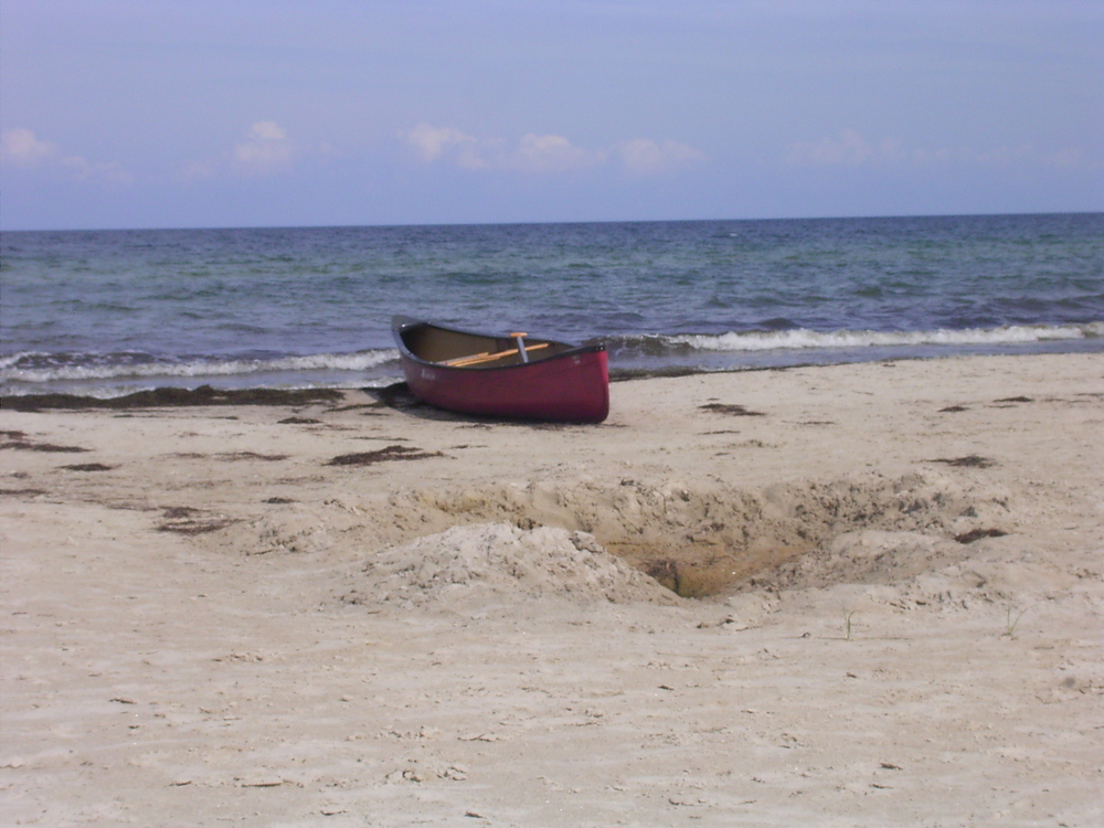 on the beach